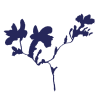 Floral notes